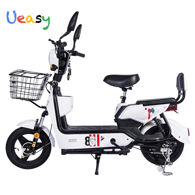 Nouveau électrique 350W 48V12ah Dirt Bike Electric acheter vélo électrique prix bon marché