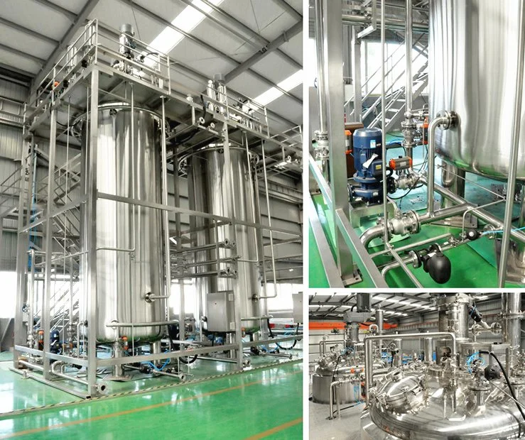 Construction of a Citric Acid Production Line with an Annual Output of 10, 000 Tons of Bioreactor Fermentation