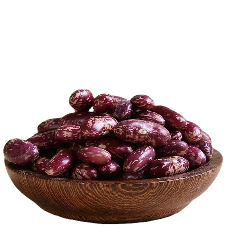 Factory Directly Wholesale High Quality Dark Red Kidney Beans Long Shape Kidney Beans