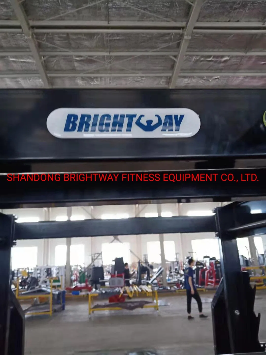 Latest Sports Body Building Brtw Tb73 3D Smith Gym Equipment with SGS Certificate