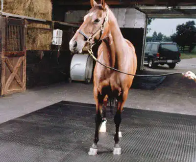 El Hipódromo de caballo de carreras de caucho Caballeriza Mat 1mx1m