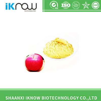 Pharm Food Cosmetic Grade Phlorizin CAS No: 60-81-1 with High quality/High cost performance 