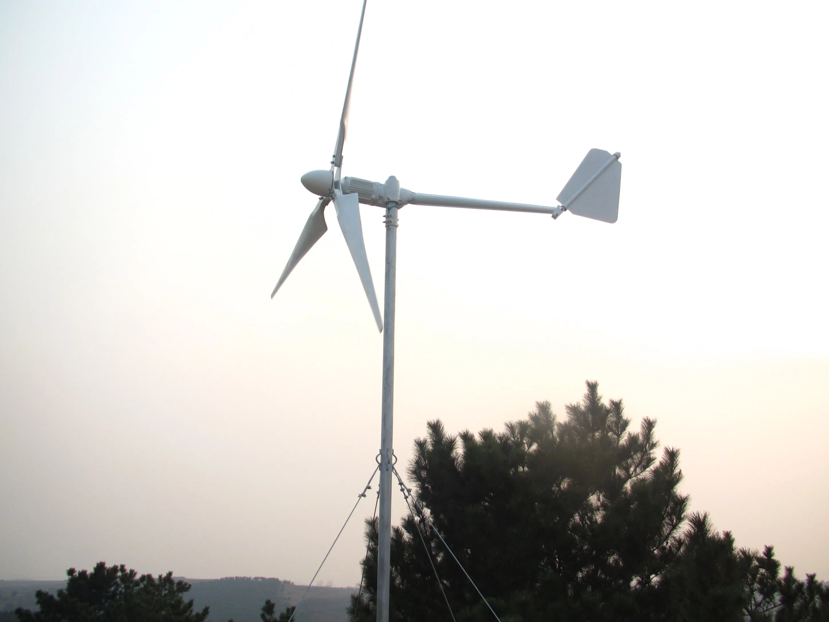 Coreless générateur à aimant permanent pour l'Éolienne génératrice éolienne de 2 kw pour la maison d'utilisation du système de petit système de vent pour moulin à vent