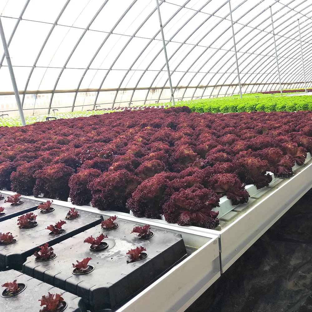 заводская цена Smart гидропоники системы с крытым открытый гидропоники Soilless Nft расширением выращивания система для фермы сад