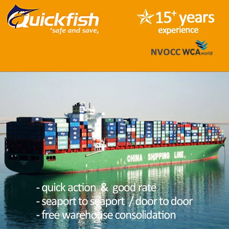 to Amazon Cheapest Sea Freight From China Fba Canada/USA LCL Shenzhen DDP FL Logistics Free Insurance Service Directhot Sale Products