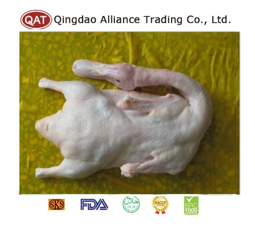 Halal Frozen Duck Meat - Hot Selling