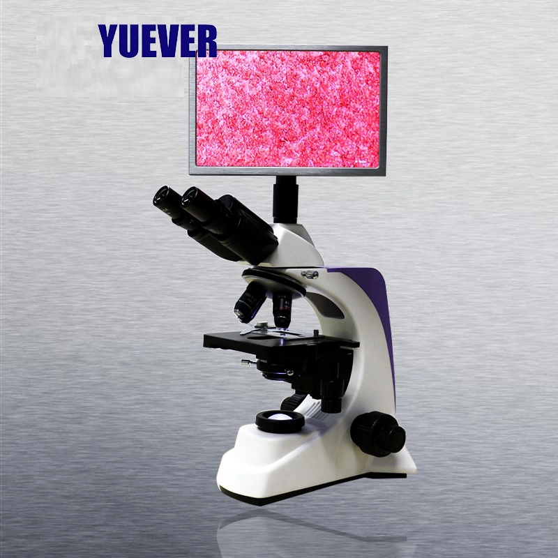 Yuever Medical Professional Lab Equipment Biological Microscope Digital Cheap Price Microscopio Biologico