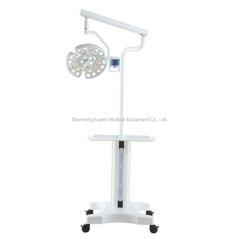 CE métal électrique 18W à LED Lampe dentaire C6 lumière orale Chirurgie vétérinaire de la lumière au plafond