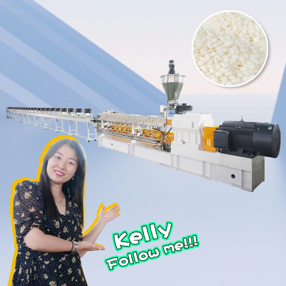 Bio Corn Starch Granulator Pellet Manufacturing Extruder Machine