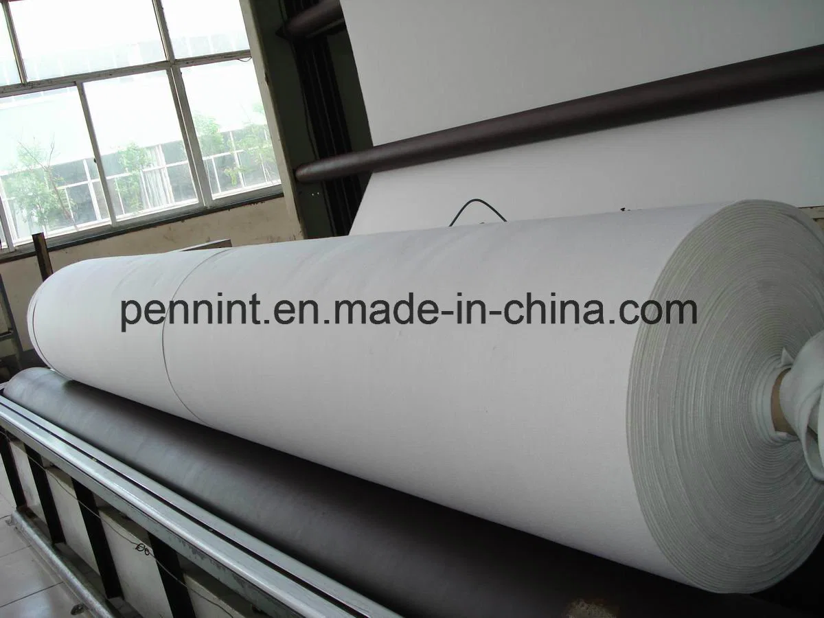 High Strength Non Woven Geo-Textile for Highway /Drainage System Construction Materials