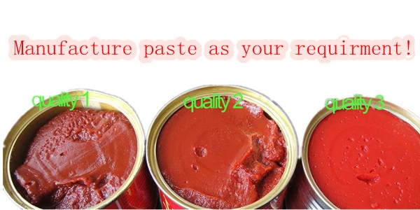 Double Concentrated 210 Gram Canned Tomato Paste Manufacturer