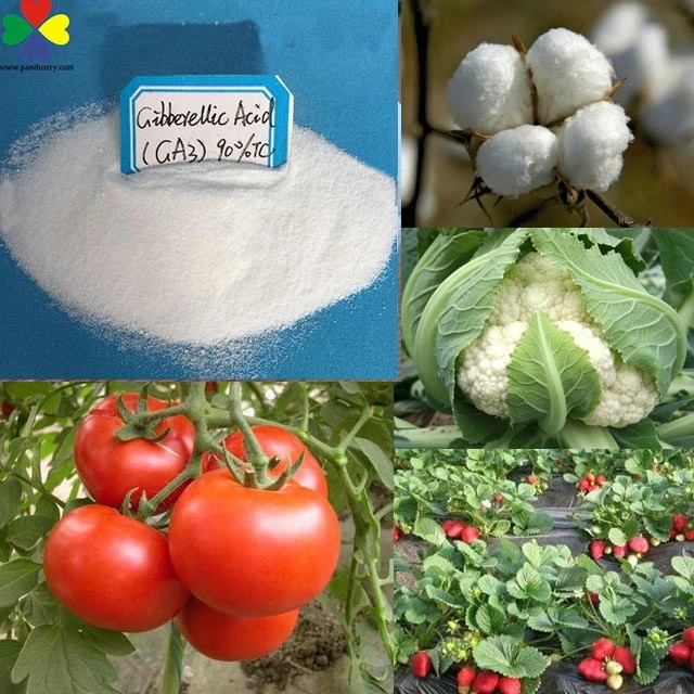 El ácido giberélico Ga3 fertilizante foliar 40%10%Sp Sp Ga3