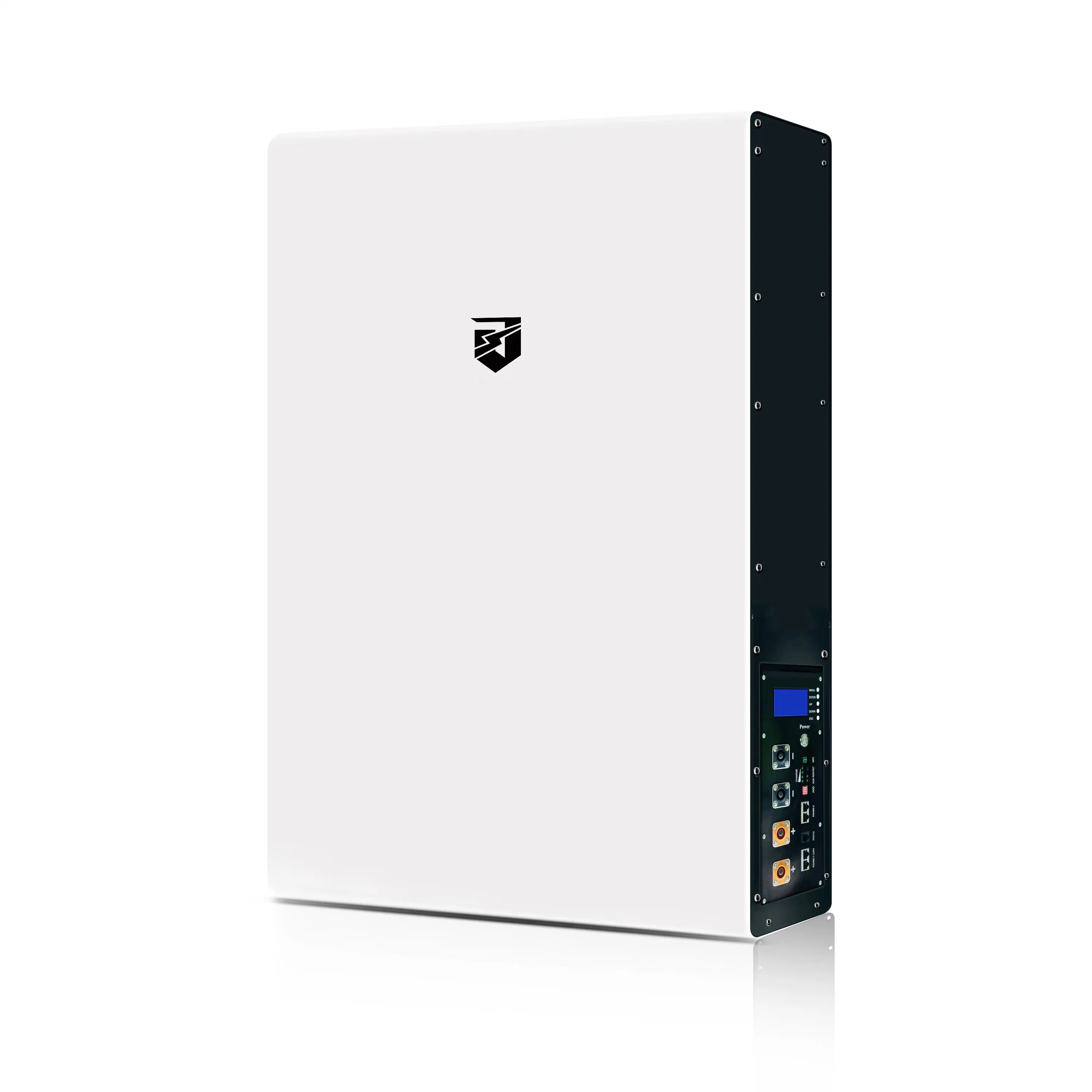 Power Wall 2.56kwh 50ah LiFePO4 Lithium Ion Battery Energy Storage Power Source