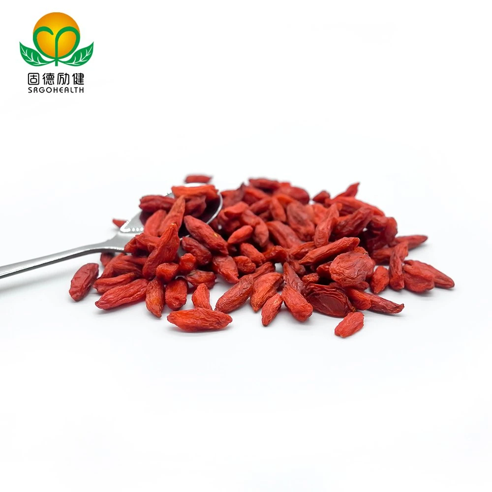 GMP Certified Lower Price Goji Berry