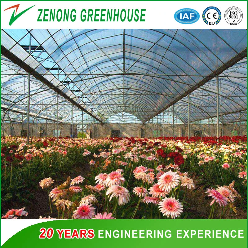 Easy Install Greenhouse Steel Frame Covered with Plastic Film /Glass