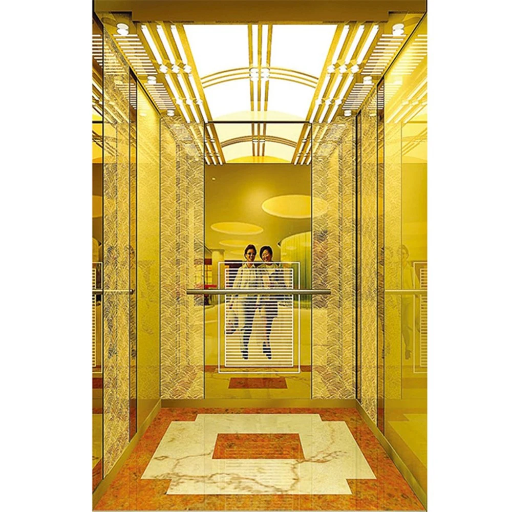 Hotel Used Passenger Lift Elevator with Stainless Steel Cabin