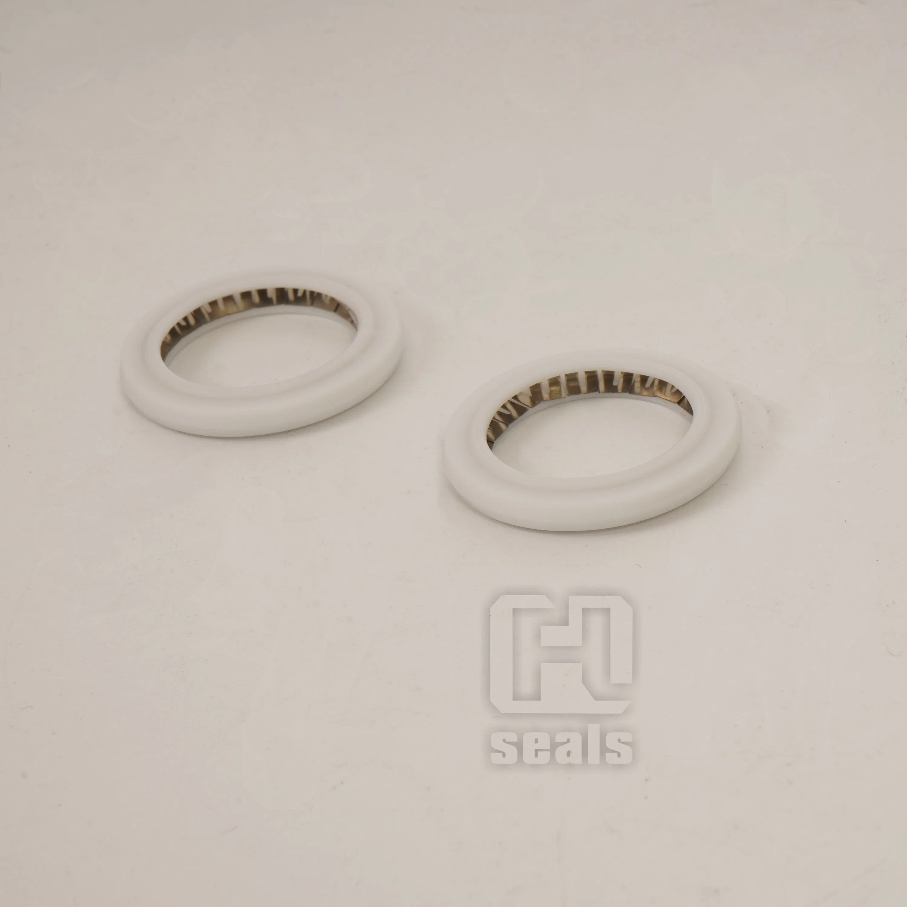 Axial Seals Single Helical Spring Lip Seals Rings Internal Pressure Seals, PTFE Spring Seals