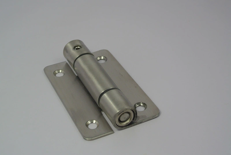 Popular Design Stainless Steel 304 Toilet Cubicle Spring Hinge