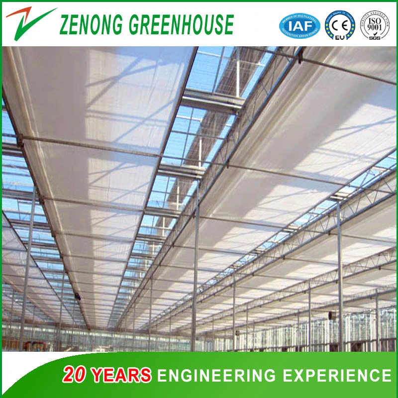 Venlo Type Agriculture Intelligent Glass Greenhouse for Planting/Experiment/Eco Restaurant/Exhibition