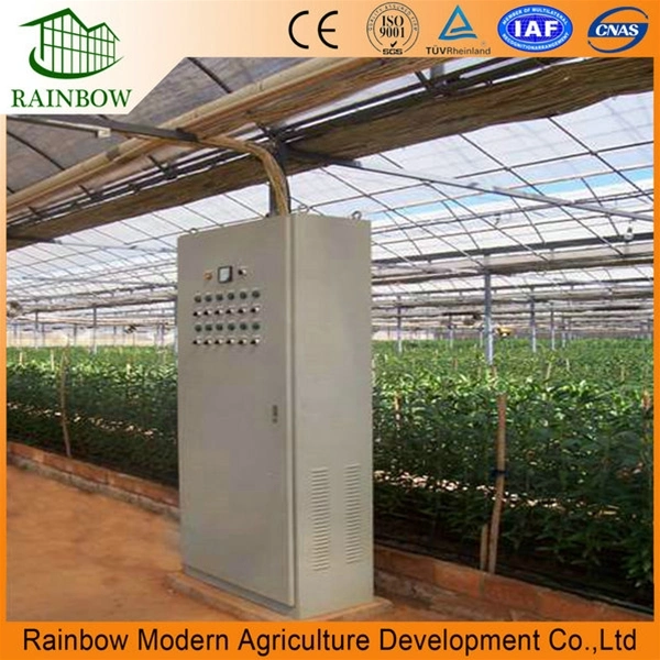 Multi-Span Film Greenhouse with Irrigation System and Intelligent Control System