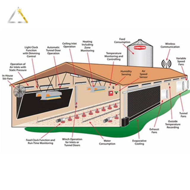 H Type Hot DIP Galvanized Steel Structure Poultry Farm House Building for Chickens Pigs Cows