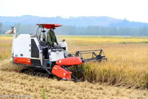 Diesel Engine with Turbo for Corn Harvesting Machines