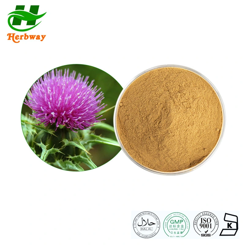 Herbway 100% Natural Organic Milk Thistle Extract Natural Herbal Plant Extract Milk Thistle Extract