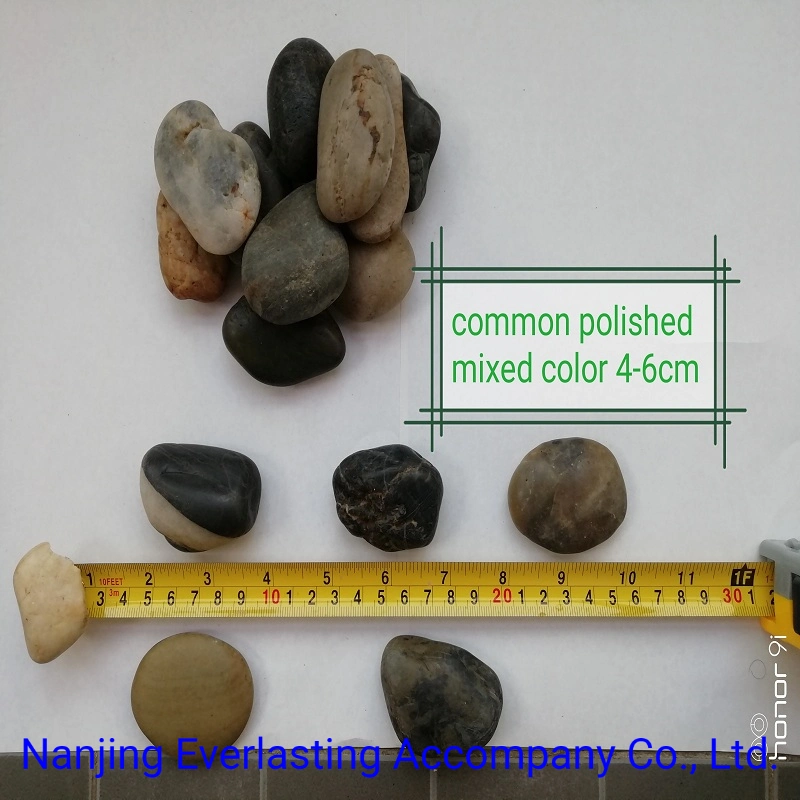 Natural Mix Color River Rock China Polished Stone Pebbles