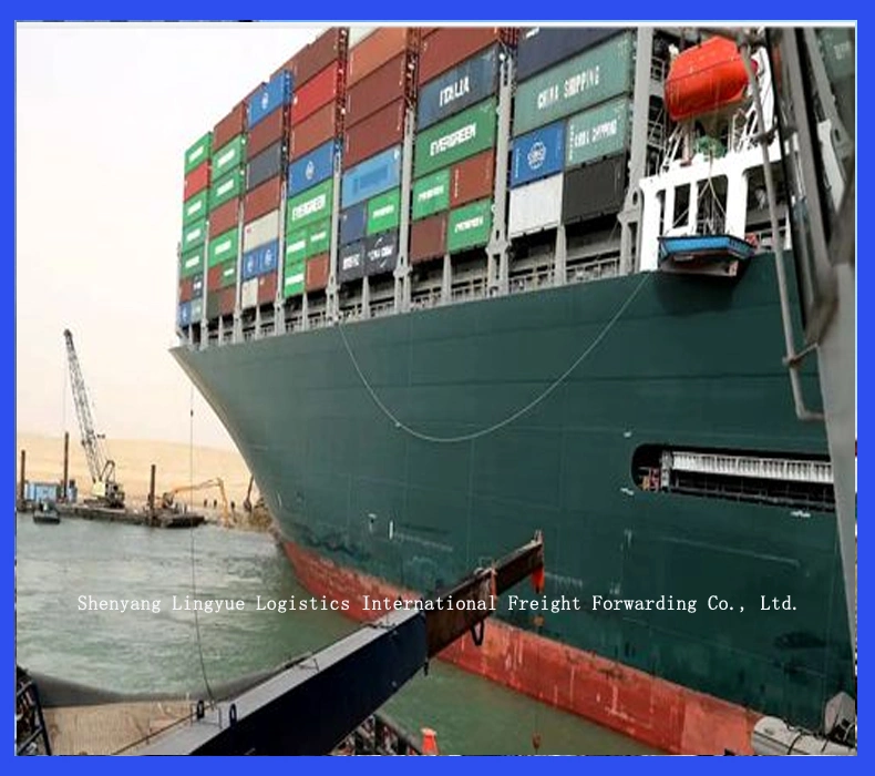 High quality/High cost performance Sea Freight Shipping Forwarder From China to Lebanon Agent Service with Best Price