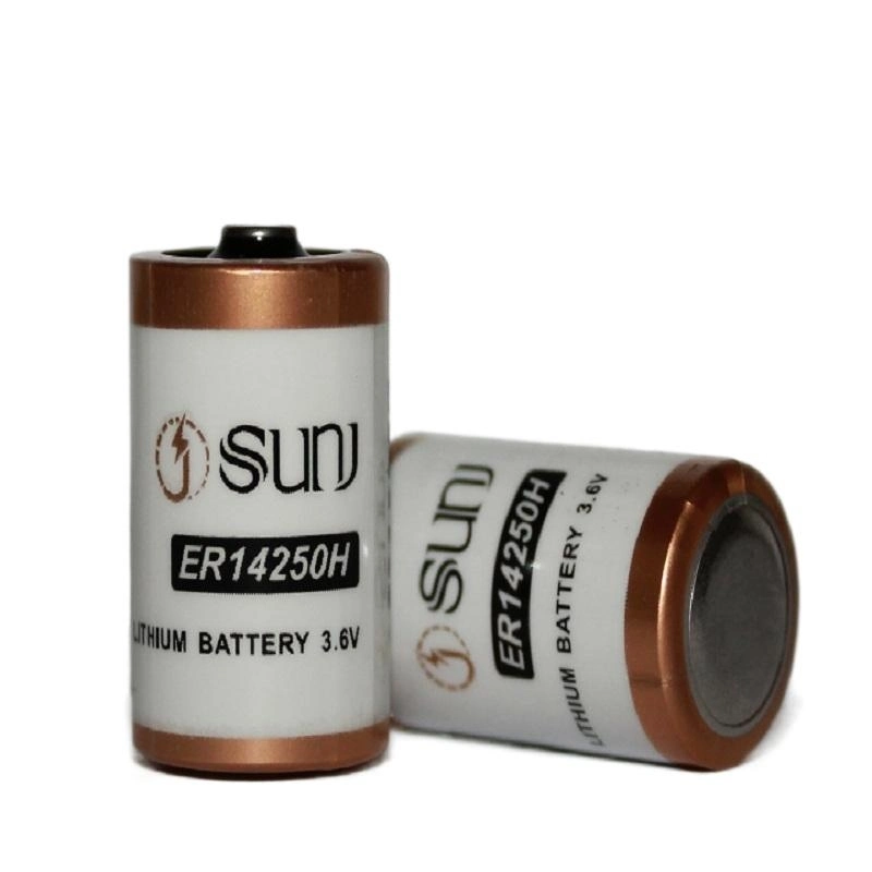 Er14250 3.6V Primary Li-Socl2 1/2 AA Size Bobbin Type Cells Battery Ls14250 with Shell for Smart Meter