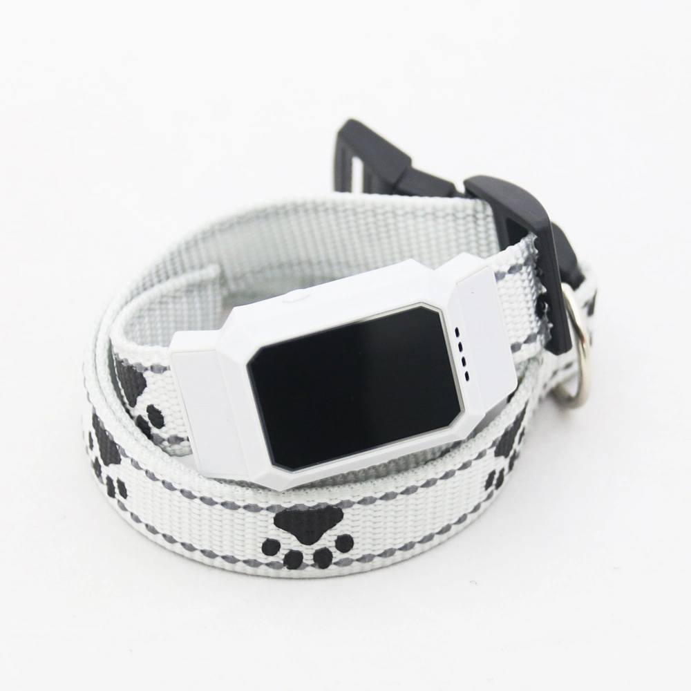 Mascotas Collar GPS Tracker/accesorios para mascotas