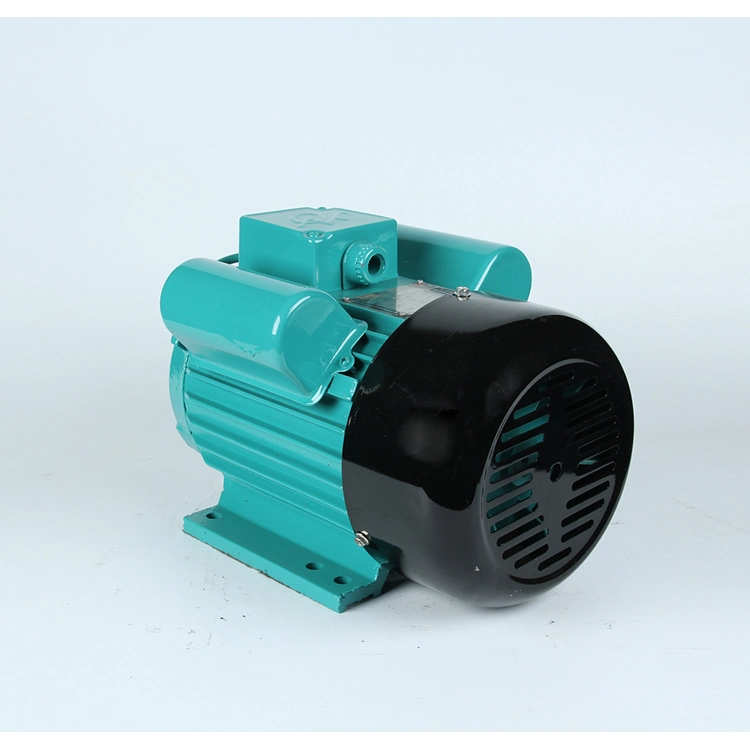 Yl Series 220V Low Noise 2800rpm Single-Phase Dual-Capacitor Induction Electric Motor for Air Compressors