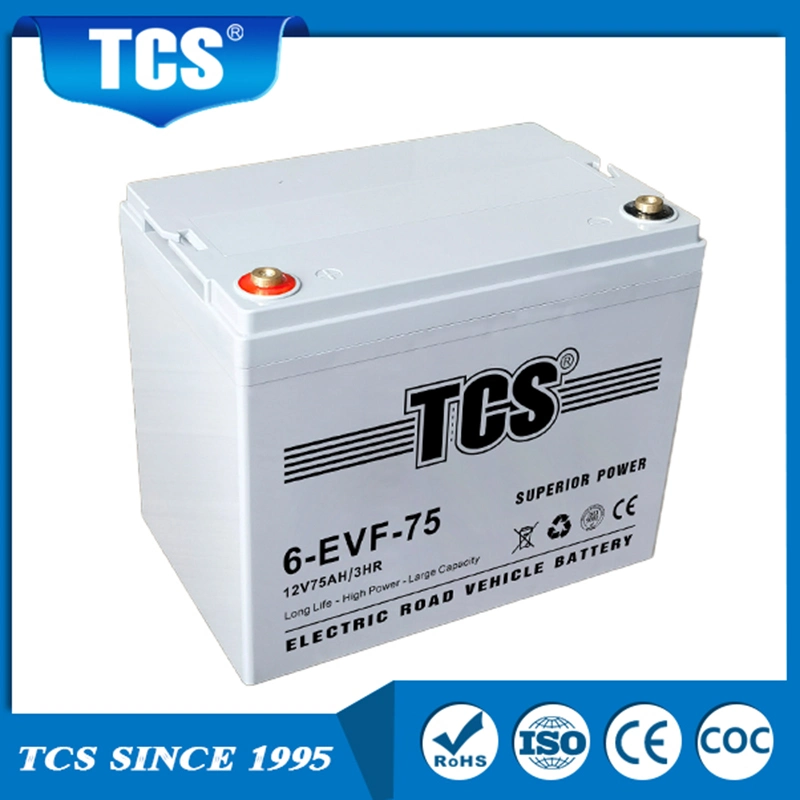 Tcs 6-Evf-75 High Quality 75ah AGM Lead Carbon Battery 12V for Electric Car