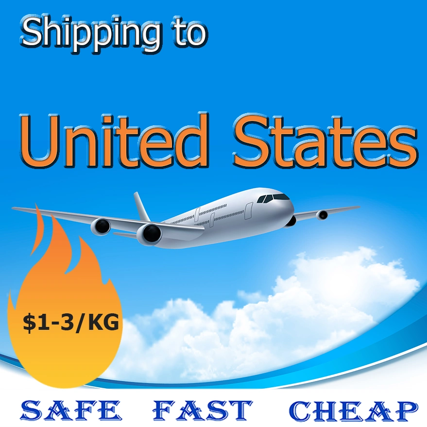 Door to Door Delivery Logistics Services From China to United States/USA/Canada