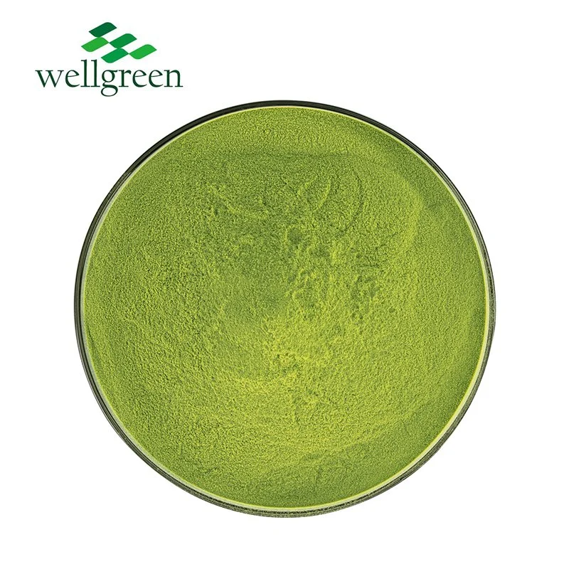 Boisson biologique certifiée USDA Wellgreen de haute qualité Matcha Powder