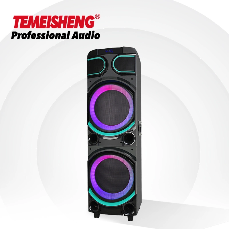 Temeisheng Rechargeable 100W Power Outdoor Speaker Wireless Bluetooth Speaker
