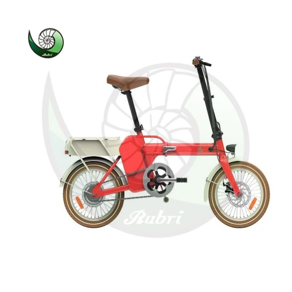 Fashion Hydrogen Bike Hydrogen Fuel Cell Bicycle with Good Quanlity