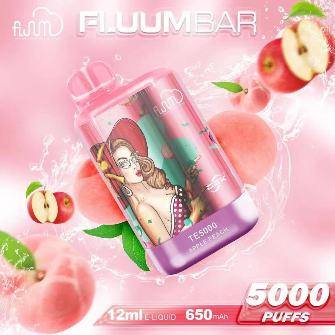 2023 Nuevo Fluum Popular Te5000 Puff Bar 0%/2%/5% nicotina desechable VAPE recargable E-cigarrillo perdido humo VAPE