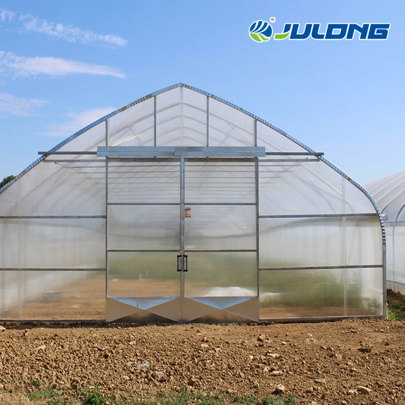 Modern Single Tunnel Plastic Film Hydroponics Greenhouse for Vegetables