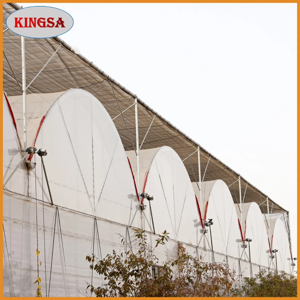 Agriculture Multi-Span Arch Plastic Film Greenhouse Tomato and Strawberry Hydroponic Greenhouse Turnkey Project