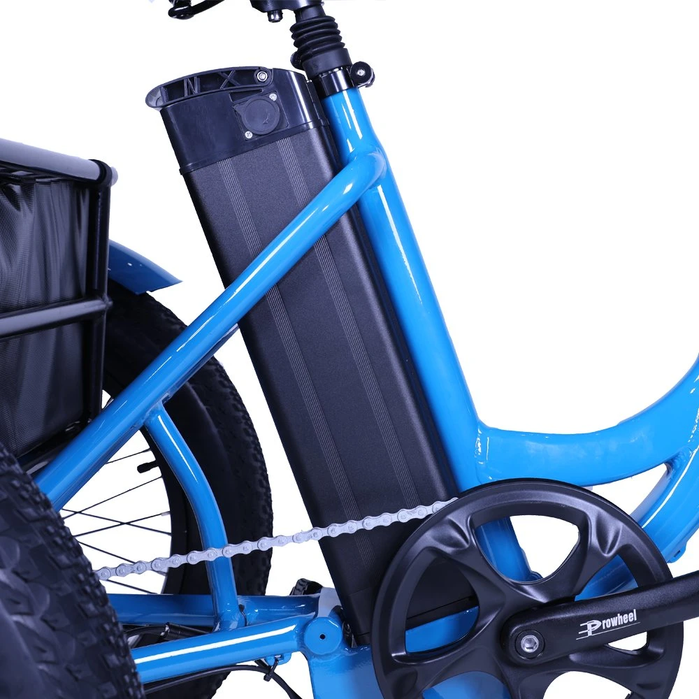 Eua 500 W depósito de bicicletas eléctricas de gordura de três rodas de carga dos pneus de bicicletas triciclo eléctrico 3 Electrie roda não de segurança