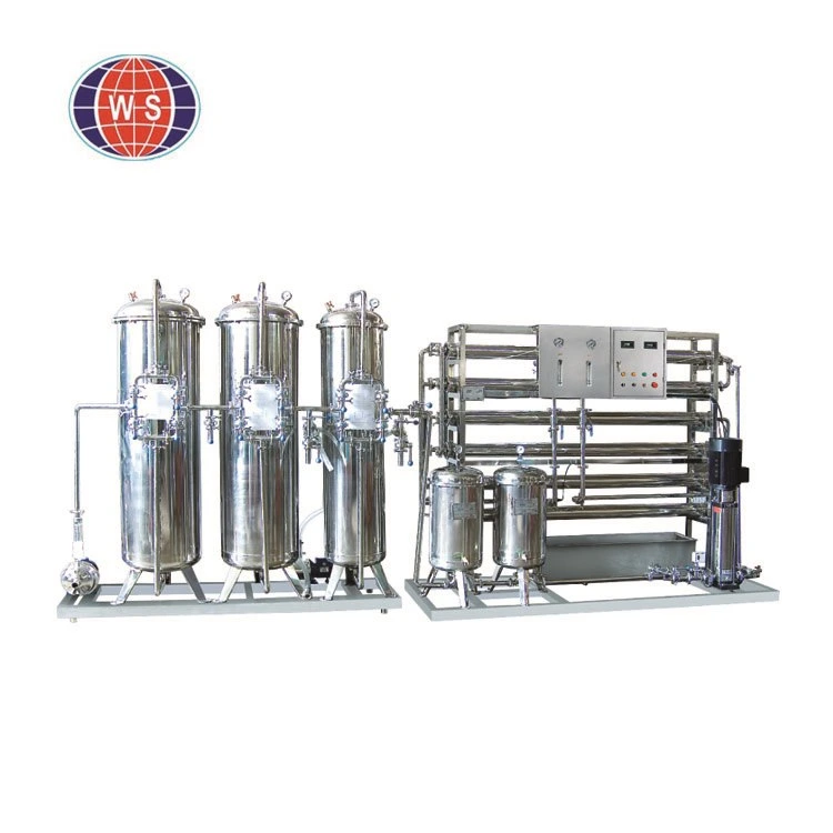 Ws Hot Sale 300L Water Filter Water Treatment Equipment