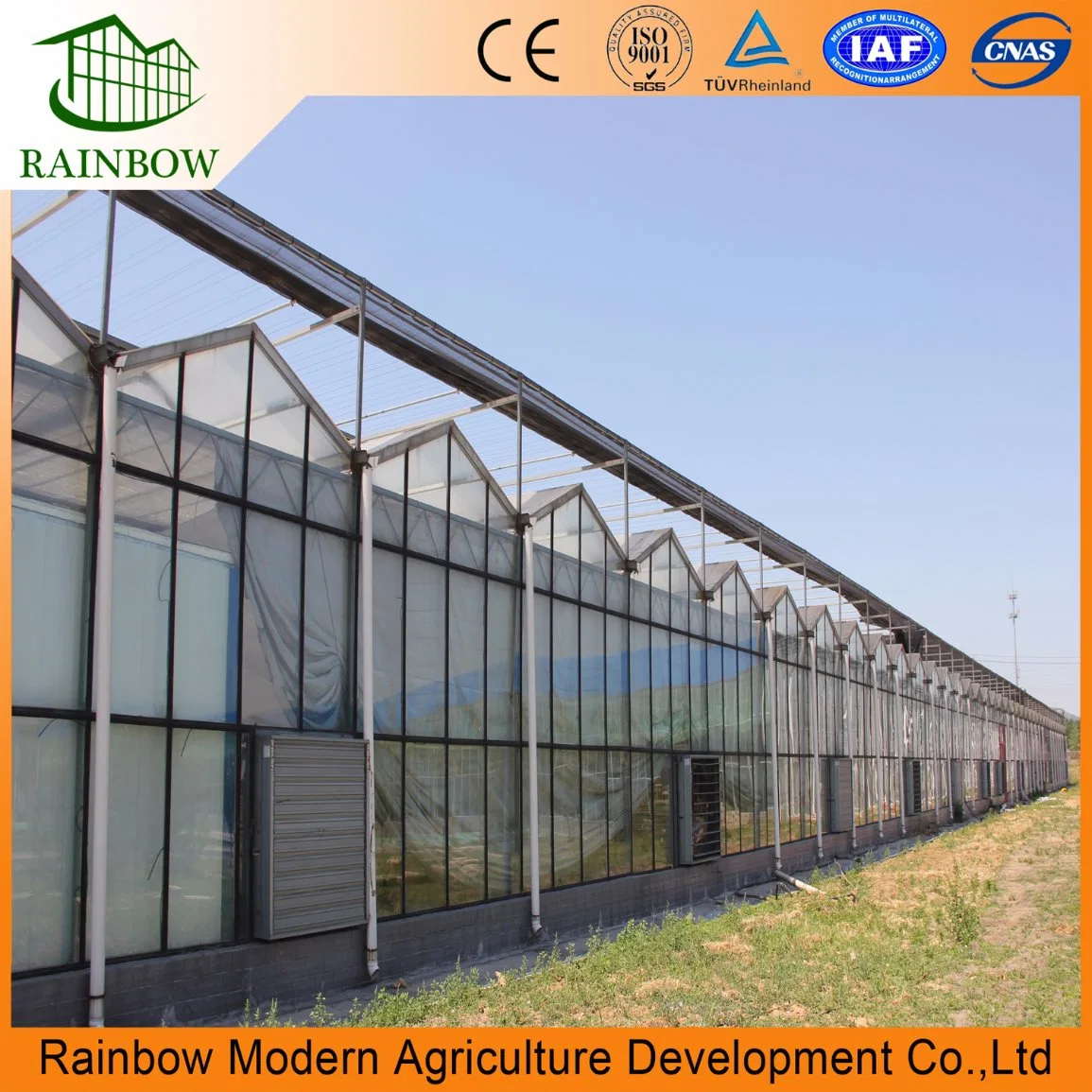 CE Certificate Good Quality Venlo Galss Mushroom Greenhouses