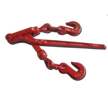 Durable Color Painted Lashing Chain with Co/Form a Certificate