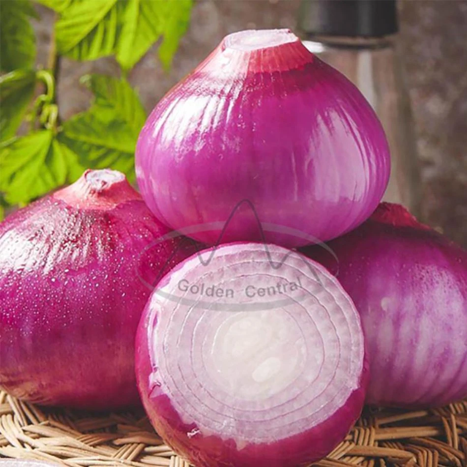 Chinês Natural vegetal Red Onion Atacado ao mundo