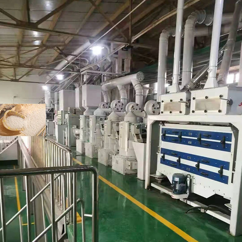 240 T/D Combined Rice Mill Machine Auto Rice Processing Equipment