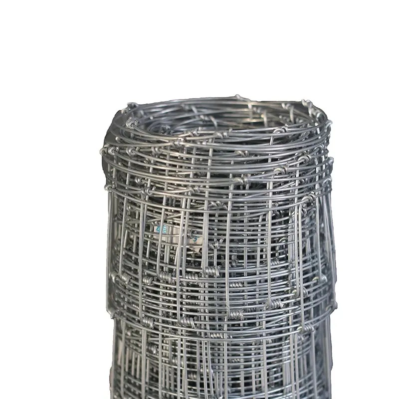 Galvanized Wire Mesh /Zinc Coated Wire Mesh/Wire Mesh with Factory Price