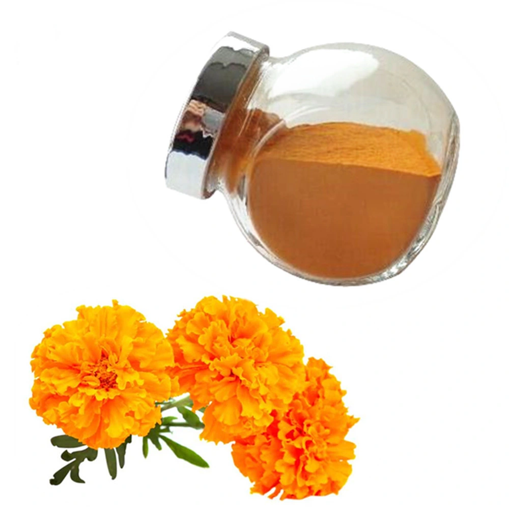 La Chine fournisseur Wholesale/Supplier Food Grade Marigold extrait 5%/20 %/80 % de la lutéine poudre /extrait de fines herbes