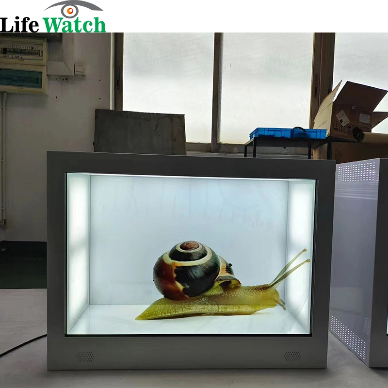 43 Inch 3D Holographic Transparent LCD OLED Screen Digital Signage