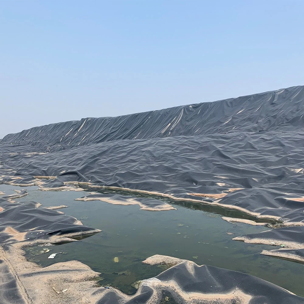 Root Barrier Textured Surface HDPE Geomembrane for Slope in Philippines